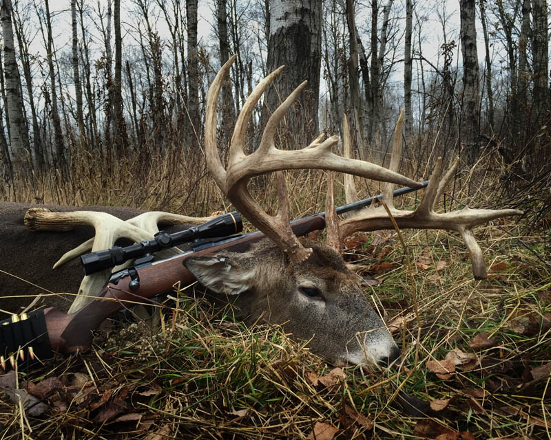 Michigan Trophy Whitetail Hunts, Large Whitetail Deer Trophy Buck