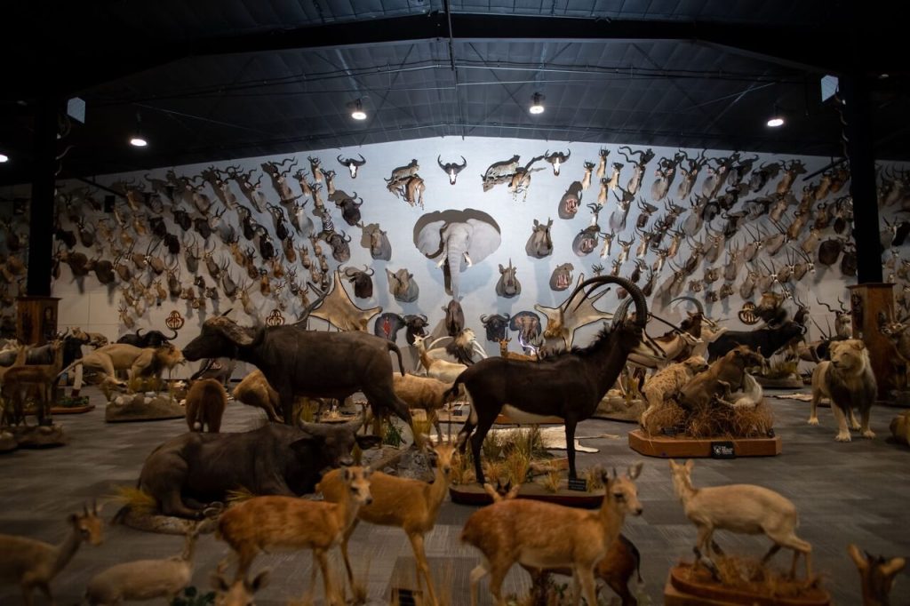 Wildlife Center