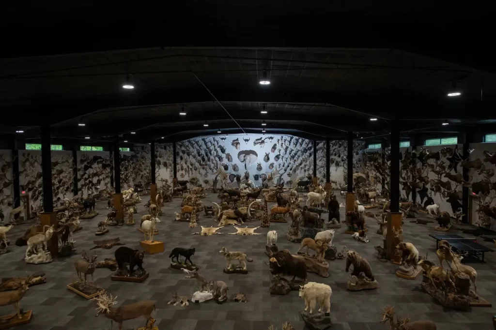 Wildlife Center