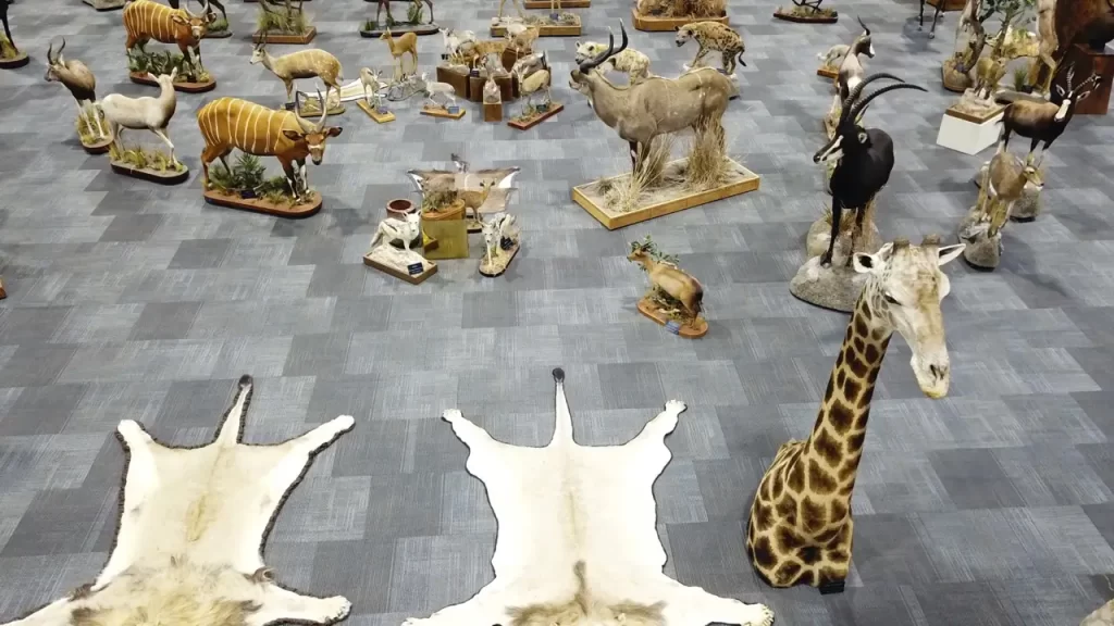 Wildlife Center
