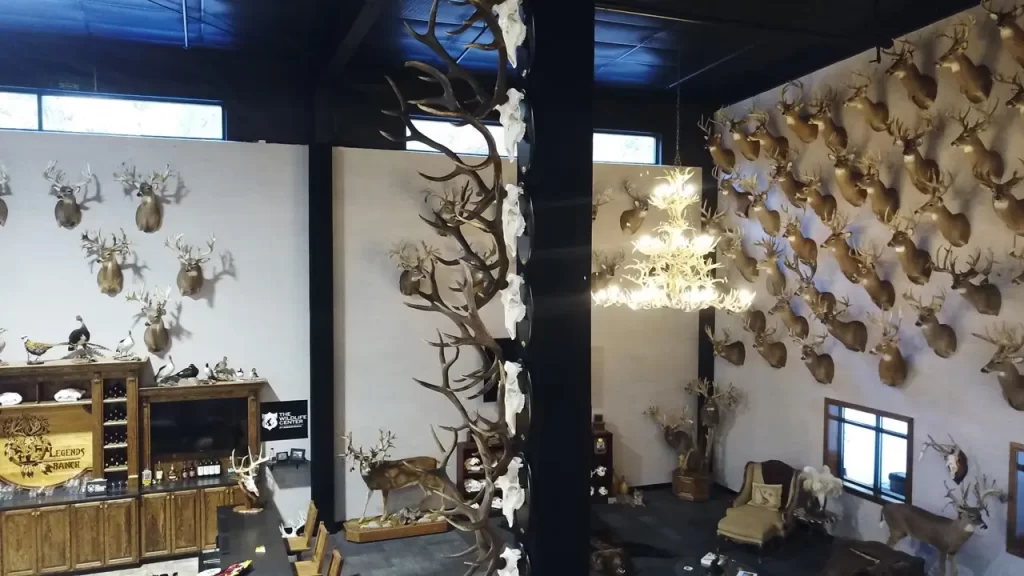 Wildlife Center
