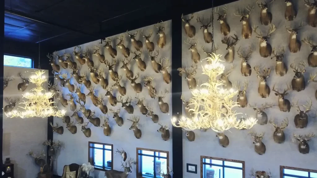 Wildlife Center