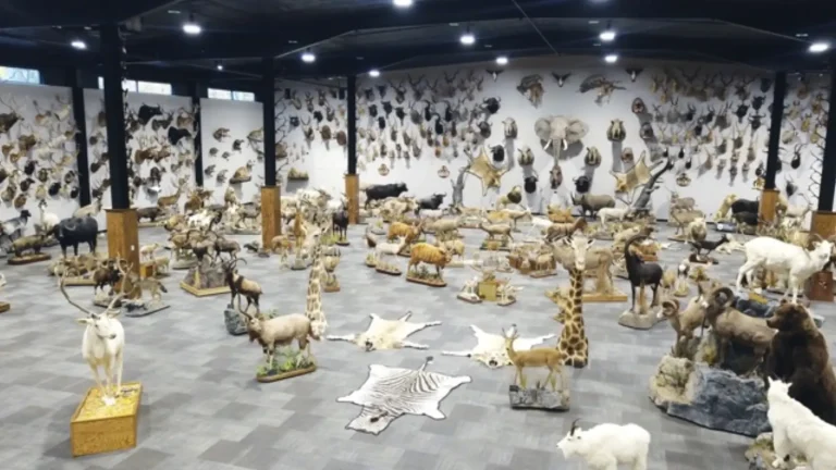 The Wildlife Center: New Acquisitions for 2025